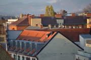 Men her har Måken en tilskuer