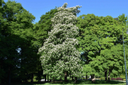 Slottsparken