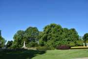 Her ser vi statuen av Dronning Maud med rundt 7000 Tulipaner rundt