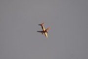 Hvilket fly har rød halestuss, nå bare spør jeg deg