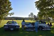 Men det er flere biler her og vi starter fra høyre som vanlig. Første er en Chevrolet 3803 fra 1951, den i midten er en Ford Thunderbird fra 1955 og nederst til venstre en Buick Riviera fra 1972