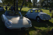 Litt skygge fra trærne, men det for ikke hjelpe. Fra høyre en Volkswagen VW 1300 fra 1967, så til venstre en Alfa Romeo Spider 1750 fra 1969