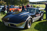 Tar denne alene da panseret var så langt. Det vi ser på her er en Chevrolet Corvette fra 1978. På sidedøren står det Official Pace Car og 62nd annual Indianapolis 500 milerace og nederst står det May 28, 1978. Ikke en liten gutt dette her