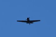 I denne settingen har jeg ofte sett den hjemme hos oss
