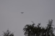Noen fly ser vi også over Ekeberg, dette er en Cessna, men er for langt borte