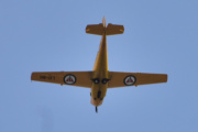 DSC_0081_01
