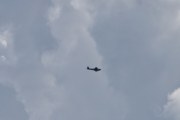 DSC_0239_01
