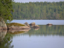 Finland Skandinavisk treff-2018 del 3