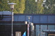 Rusler litt på plassen der alle bilene blant annet står
