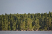 Her kunne jeg ha stått i timevis og tatt bilder av Måker
