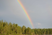 Tidlig om morgenen og solen bryter fram, hva ser jeg da? Jo -  Regnbuen!