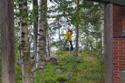 Har hatt henne i øyekroken en stund men nå tar jeg et bilde. Hun filmer oss!