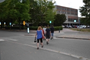 Tror dere jeg kommer til å ta mange bilder av denne Gåseflokken her på turen da?