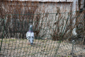 Første helgen i april 2019