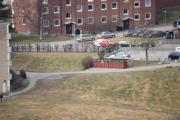 6 april 2019 - Vi følger kun en måke her