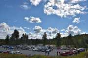 Men uansett hvor jeg står så kommer det noen trær i veien