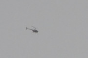Morten 12 august 2018 - To Robinson R44 i formasjon over Høyenhall