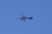 Morten 25 august 2018 - Politihelikopter over Høyenhall