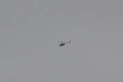 Morten 20 januar 2018 - Robinson R44 helikopter over Østensjøvannet