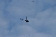 Morten 11 juli 2019 - Helikopter over Høyenhall, legg også merke til de to fuglene som flyr sammen med LN-OZK