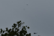 Morten 25 juni 2019 - Bell 412 over Høyenhall