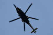 Morten 9 august 2019 - LN-ORA over Høyenhall