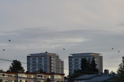 Morten 27 august 2020 - Tøffe helikoptre Bell 412HP Arapaho over Manglerud, men kanskje dem er fem?