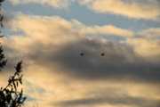 Morten 24 desember 2020 - To Bell 412 Arapaho helikoptre i formasjon over Høyenhall