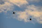 Morten 24 desember 2020 - To Bell 412 Arapaho helikoptre i formasjon over Høyenhall