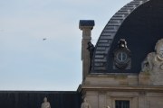 Morten 7 februar 2020 - Helikopter over Paris, ikke bare det - jeg får med meg et fly helt oppe til venstre