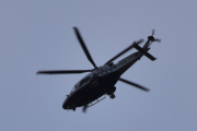 Morten søndag 22 mars 2020 - Politihelikopter over Høyenhall, og akkurat her så løper kona mi inn igjen. Nå tør hun ikke stå ute lenger, jeg tar jo bilder av LN-ORA