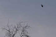 Morten søndag 22 mars 2020 - Helikopter over Høyenhall, klokken er 17.58. Men hvilken av de tre politihelikoptrene var dette tro? Det klarte jeg ikke å se