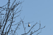 Morten 22 april 2021 - Robinson R44 over Høyenhall