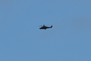 Morten 4 april 2021 - Politihelikopter over Drøbaksundet, dem jobber på 1 påskedag også