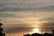 Morten 29 november 2021 - LN-OUG i solnedgangen over Høyenhall, dette er vakkert spør du meg