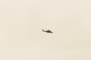 Morten 7 februar 2021 - Politihelikopter over Høyenhall