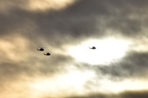 Helikoptre 2021 januar