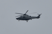 Morten 19 juni 2021 - Politihelikopter og svalen over Høyenhall, dem holder seg ofte litt på avstand