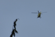 Morten 21 mai 2021 - Norsk Luftambulanse over Høyenhall, tenk om det satt et Ekorn i tretoppen her, det hadde vært noe :-)