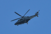 Morten 30 mai 2021 - Politihelikopter over Høyenhall, det er jo alltid dem som kommer innom og hilser på sånn her