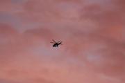 Morten 24 november 2021 - Politihelikopter over Høyenhall, men himmelen er så fin