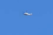 Morten 30 januar 2021 - Politihelikopter over Høyenhall, det er hagefugletelling i dag, så den er alt for langt unna