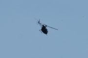 Morten 5 juni 2021 - LN-OKN over Høyenhall, så et helikopter og tre fugler på samme bilde må da være en bra avslutning :-)