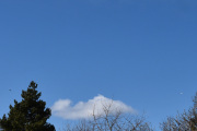 Morten 11 april 2022 - Politihelikopter over Høyenhall, men nå kommer det et fly, så jeg må gi meg