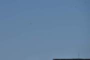 Morten 19 april 2022 - Politihelikopter over Høyenhall, jeg vet at den er smertefullt langt unna, men jeg fikk med tre fugler da