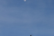 Morten 11 februar 2022 - Robinson R44 over Høyenhall, vi har aldri hvert nærmere månen du og jeg :-)