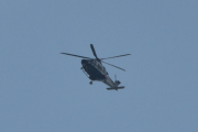 Morten 26 juni 2022 - Politihelikopter over Høyenhall, det er lenge siden jeg har fått bilde av Politiet med en fugl