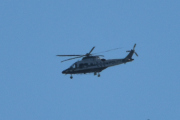 Morten 28 juni 2022 - Politihelikopter over Høyenhall, her fikk vi med en fugl nede i høyre hjørne