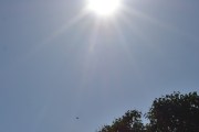 Morten 29 juni 2022 - Politihelikopteret over Høyenhall, jeg klarte å få med solen, selv om den er sterk i dag