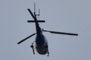 Morten 3 juni 2022 - Pegasus Helicopter over Høyenhall, med rotorbladene altså...